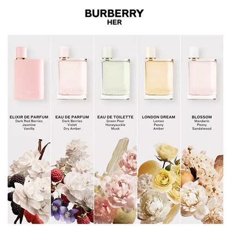 burberry london que olor tiene|burberry her perfume.